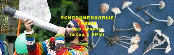 экстази Ладушкин
