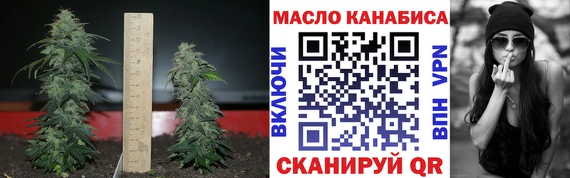 Дистиллят ТГК вейп  OMG ТОР  Рыльск 